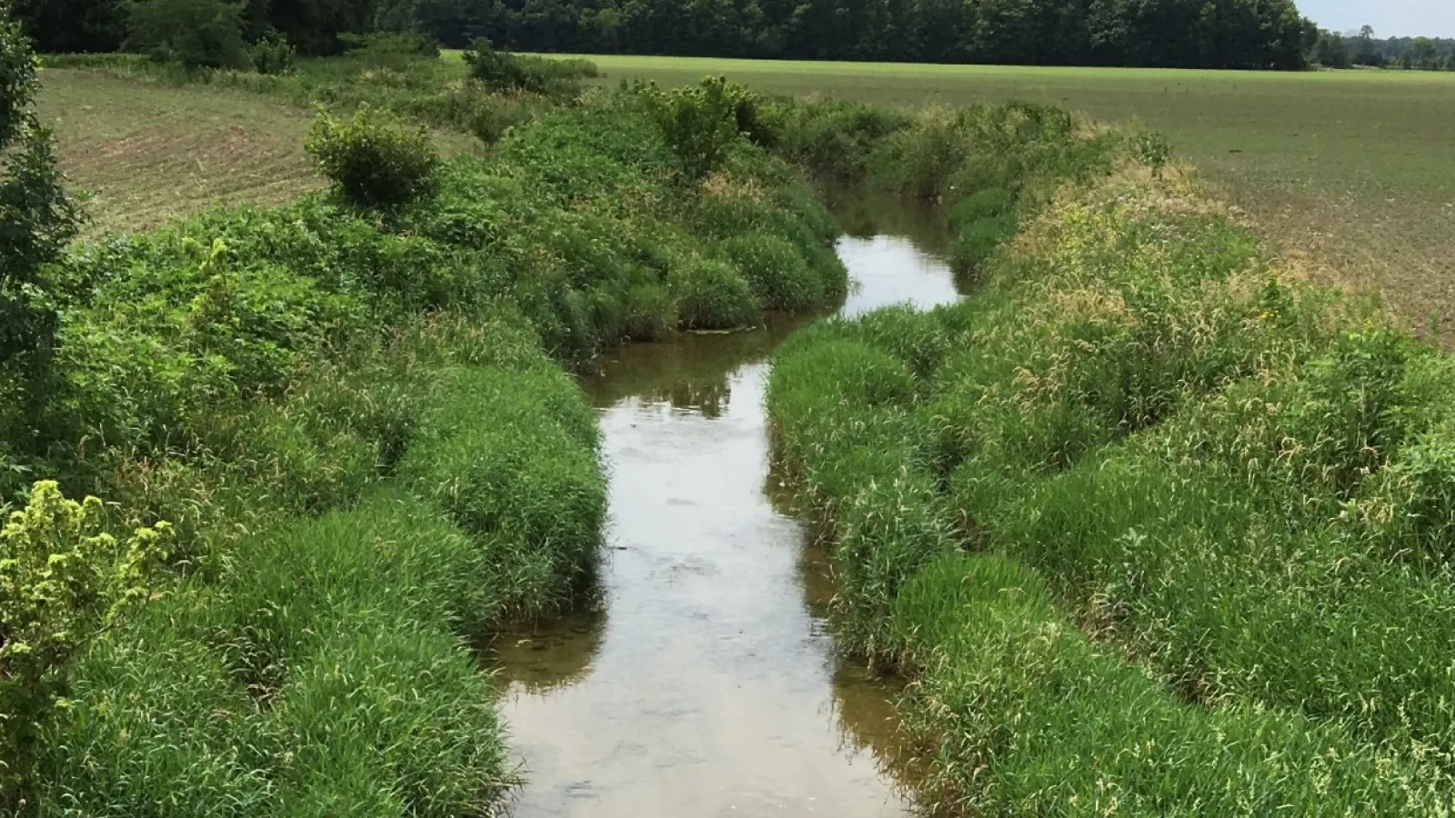 Agricultural stream